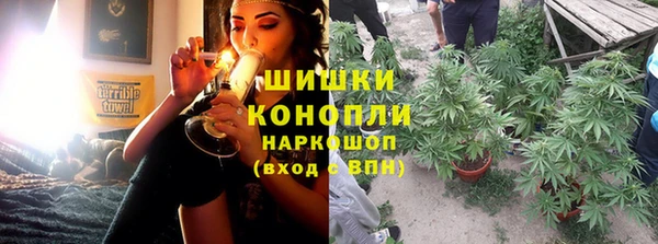 mix Богородицк